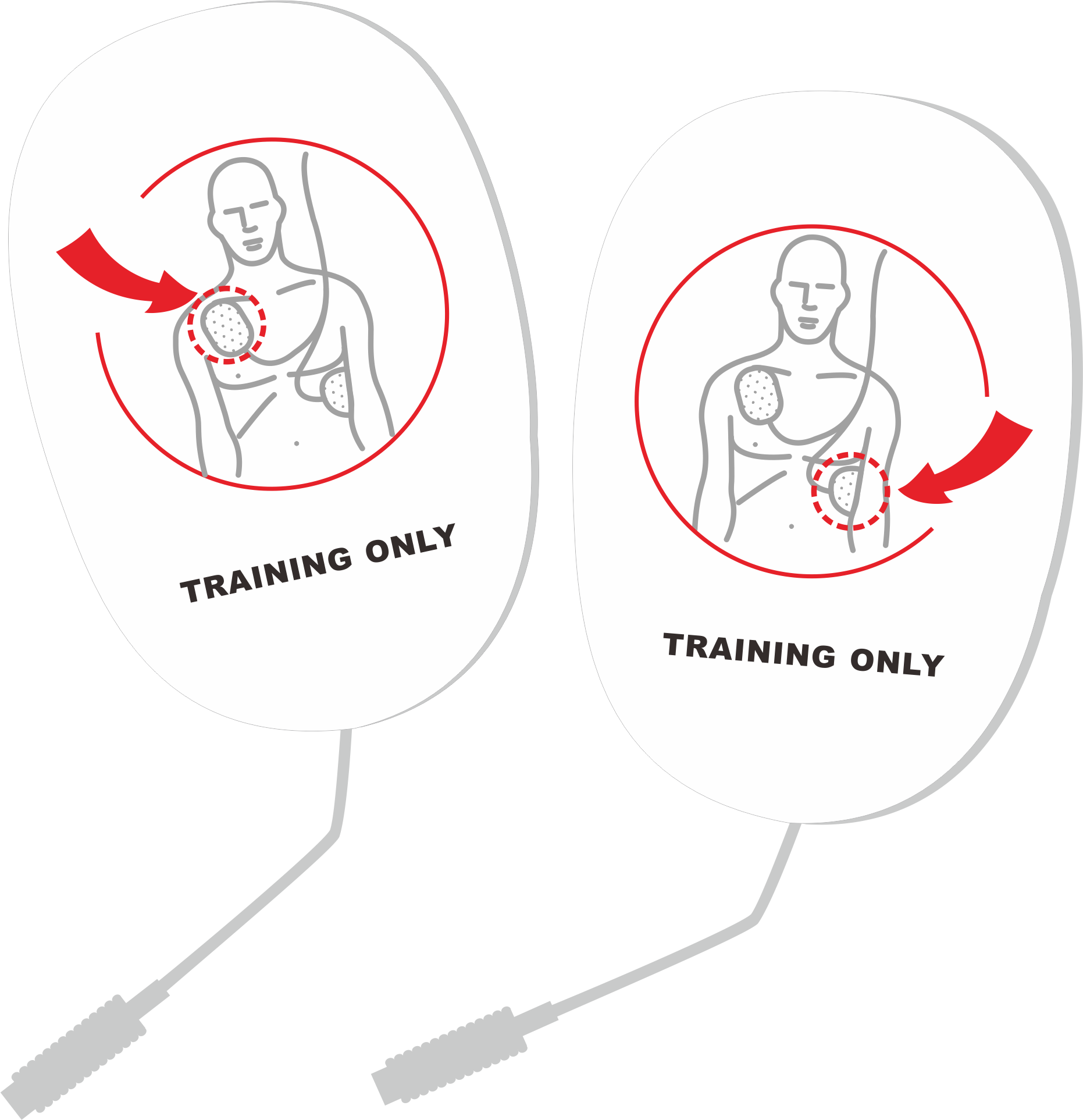 AED Trainer, XFT Portable AED Training Kit Essentials AED Training Device In English, French For - Foto 5