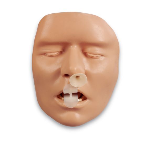 BLS Adult Airway Handheld Trainer