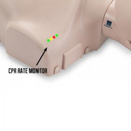 Prestan Professional Adult Manikin(s) with CPR Monitor