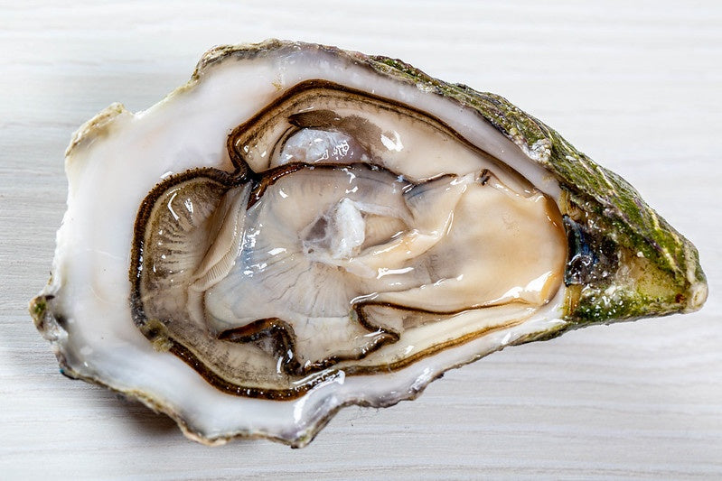 Tackling shellfish safety concerns