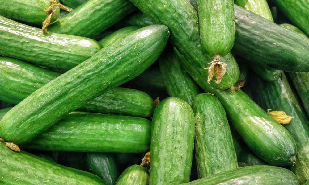 Salmonella outbreak tied to cucumbers slowing; investigation continues