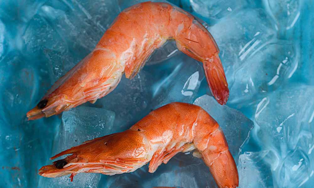Shrimp containing antibiotic-resistant bacteria found in Canadian grocery stores