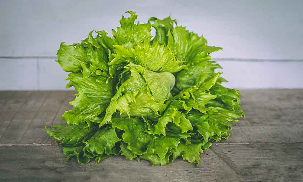 Do Not Eat Romaine Lettuce. Experts Advise The FDA announced that it is likely the source of a recent E. coli outbreak, and CR says consumers should not take any chances