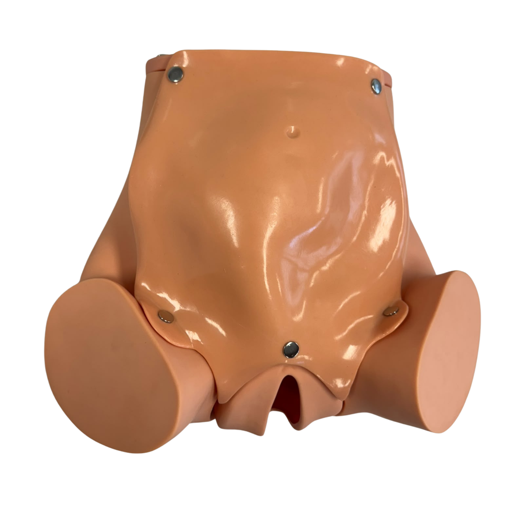 Birthing Simulator Training Model with Twin Fetus Set & Placenta