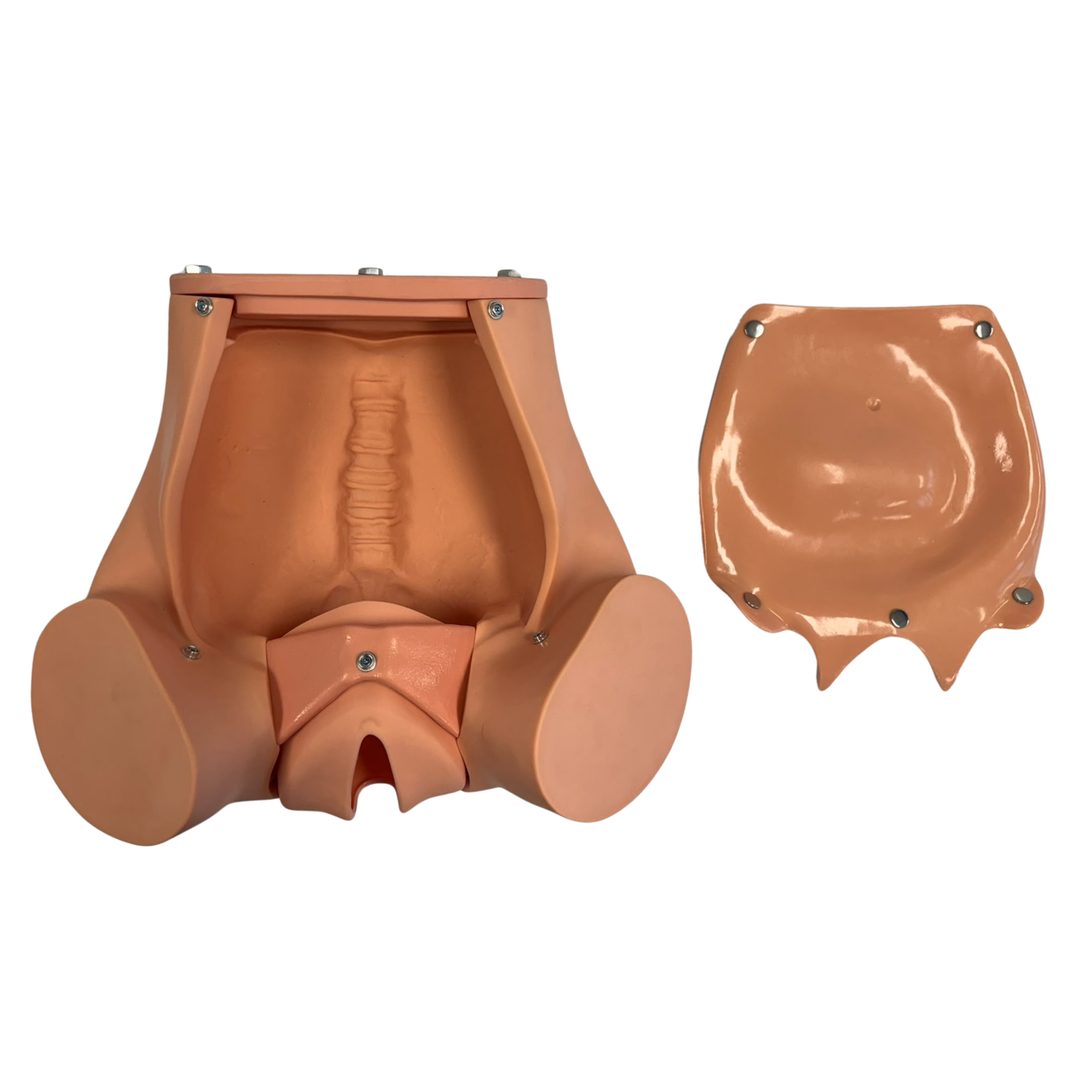 Birthing Simulator Training Model with Twin Fetus Set & Placenta