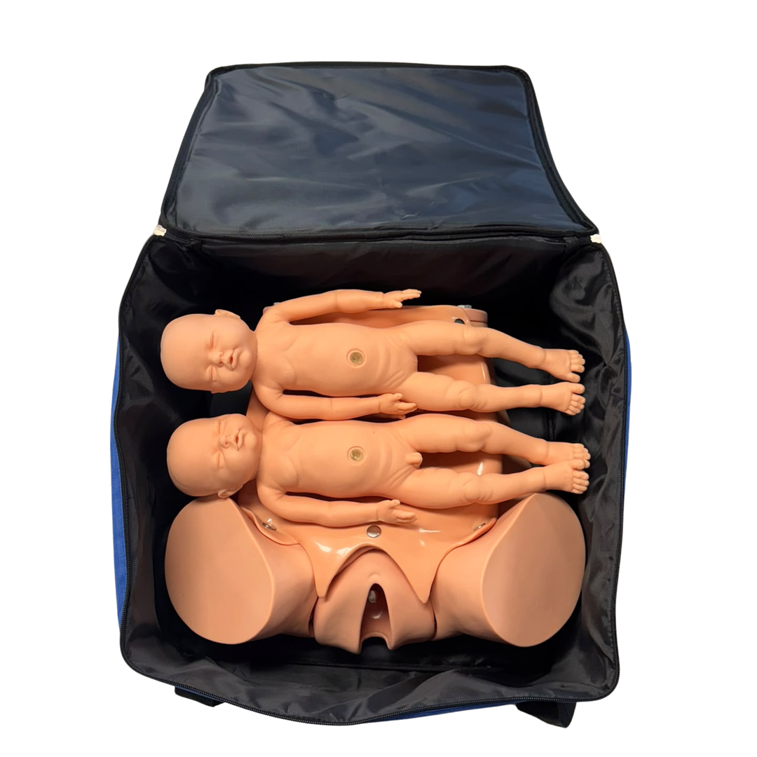 Birthing Simulator Training Model with Twin Fetus Set & Placenta