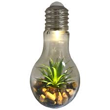 LED Glass Bulb Terrarium Décor