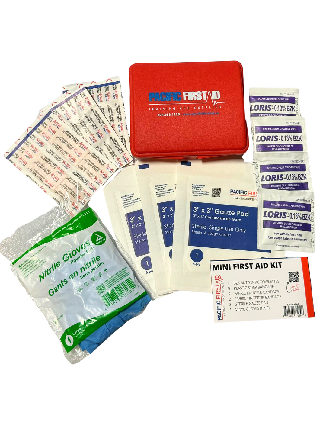 Mini First Aid Kit in Plastic Case