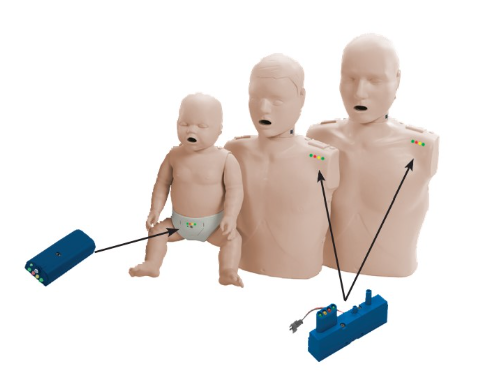 RENTAL Prestan Professional Series Adult Manikin | Call to book!